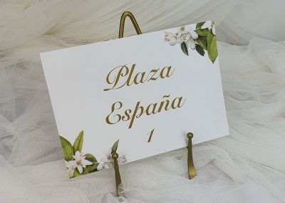 Meseros Modelo Sevilla